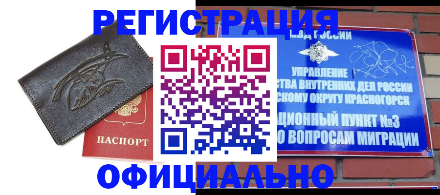 прописка для школы в Щёлково